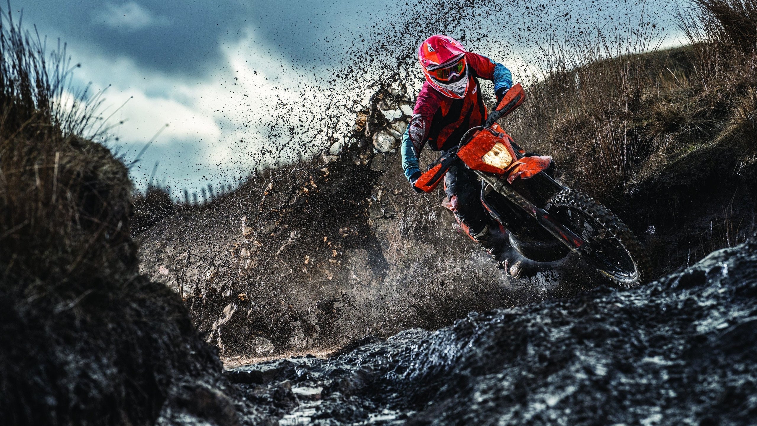 体育新闻中心承办体育影像创新传播作品展,体育新闻摄影教程