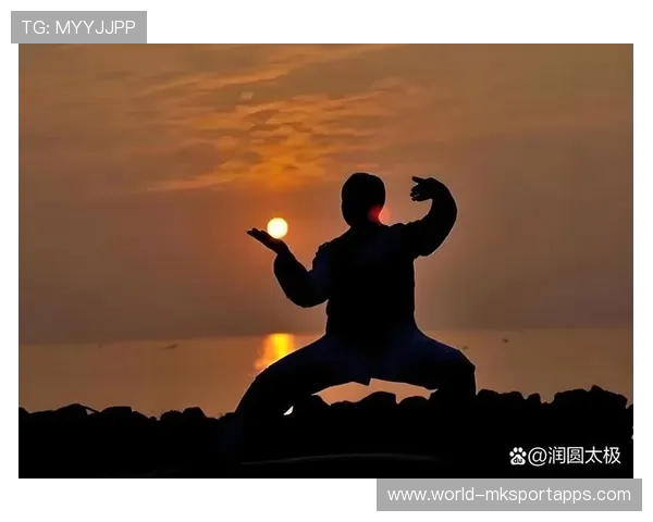 动作流畅提升观赏性（222 ）